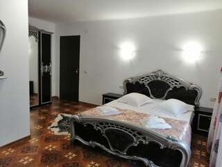 Гостевой дом Casa Doi Frati Бран Двухместный номер с 1 кроватью и собственной ванной комнатой-4