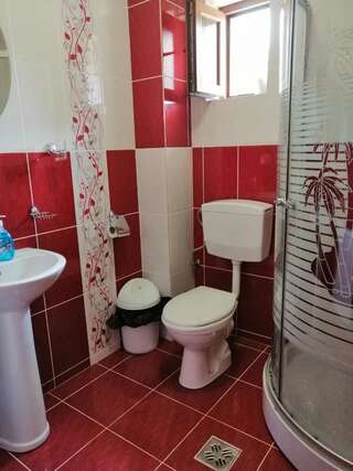 Гостевой дом Casa Doi Frati Бран Двухместный номер с 1 кроватью и собственной ванной комнатой-14