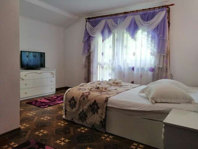 Гостевой дом Casa Doi Frati Бран-31