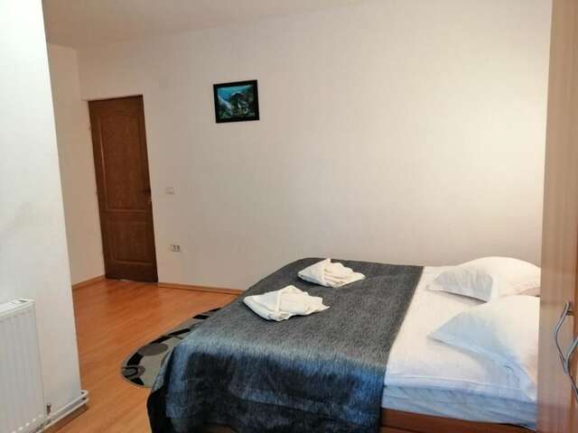 Гостевой дом Casa Doi Frati Бран-45